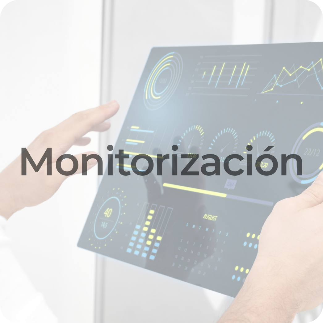 Monitorización