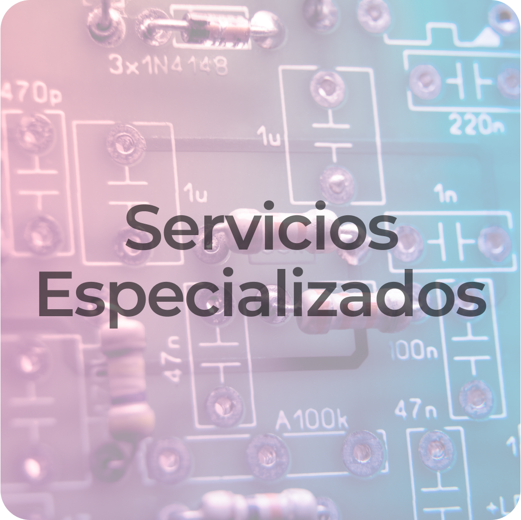 Servicios especializados